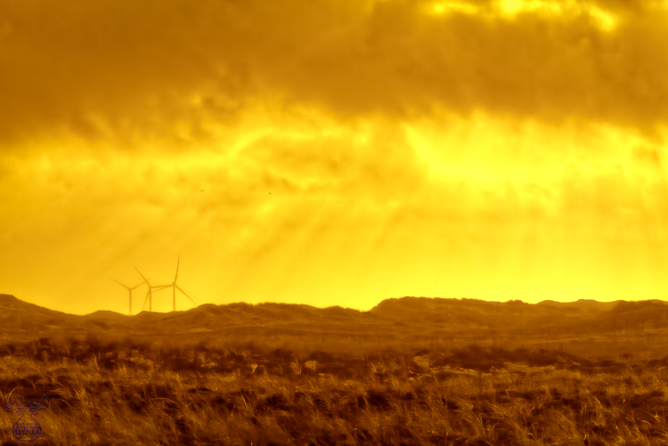4789 - Sun and Wind - -