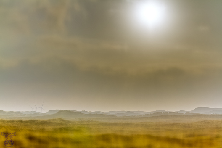 Holmsland Klit Range - DreamArt