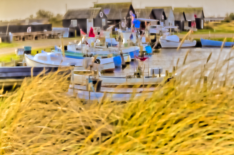 4841 - Lyngvig Havn DreamArt - -