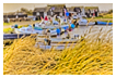  4841 - Lyngvig Havn DreamArt - - 