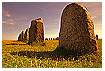  508 - Ales Stenar - - 