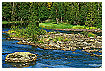  529 - Swedish Stream - - 