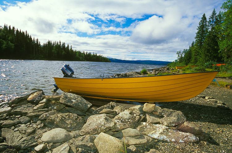 533 - Yellow Boat - -
