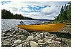  533 - Yellow Boat - - 