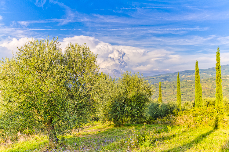 5508 - Montegiovi view - -