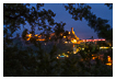  5534 - Roccatederighi Tree View - - 