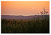  557 - Sunset in the woods - Sonnenuntergang in Värmland 