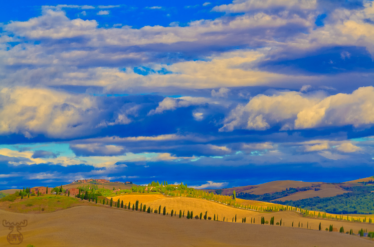 5608 - Senesi Treeline Scape - -
