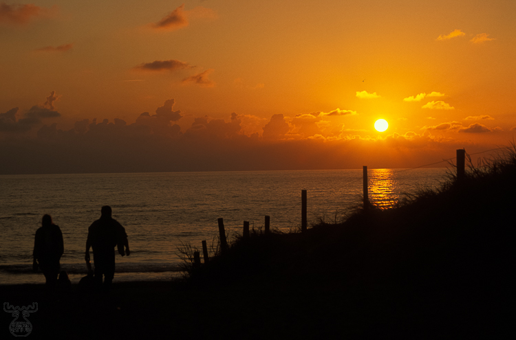 56 - Walking into sunset - -