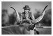  5731 - Between the Horns - - 
