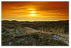  598 - Dune Landscape in Winter - Winterliche Dünenlandschaft 