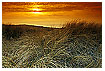  599 - Dune Landscape - D&uuml;nenlandschaft 