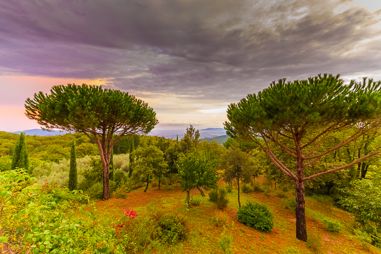 6088 - Roccatederighi valley - -
