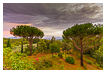  6088 - Roccatederighi valley - - 