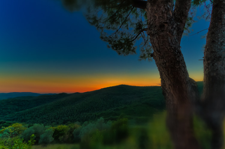 6236 - Montemassi Sundown - -
