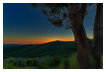  6236 - Montemassi Sundown - - 