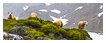  6921 - Four High Up - - 