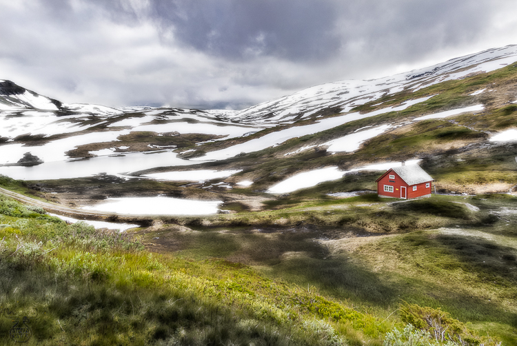 6987 - Snow Field House - -