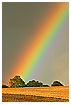  761 - Pot of Gold - Ein Topf voller Gold 