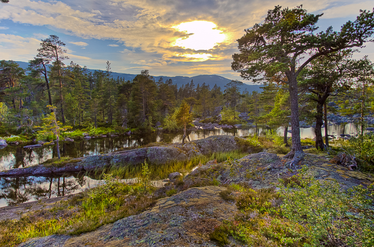7694 - Otra Waterscape - -