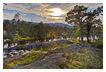  7694 - Otra Waterscape - - 