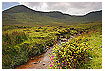  808 - Inny Valley Idyll - - 