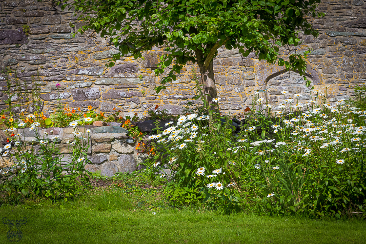 8282 - Bishops Palace Yard - -