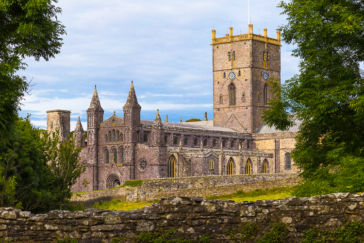 8294 - St Davids Wall View - -