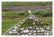  8420 - A Gulls House - - 