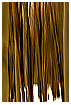  843 - Winter forest lines - - 