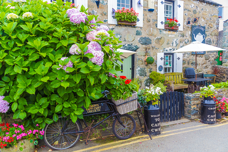 8526 - Criccieth Tea House - -