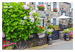  8526 - Criccieth Tea House - - 