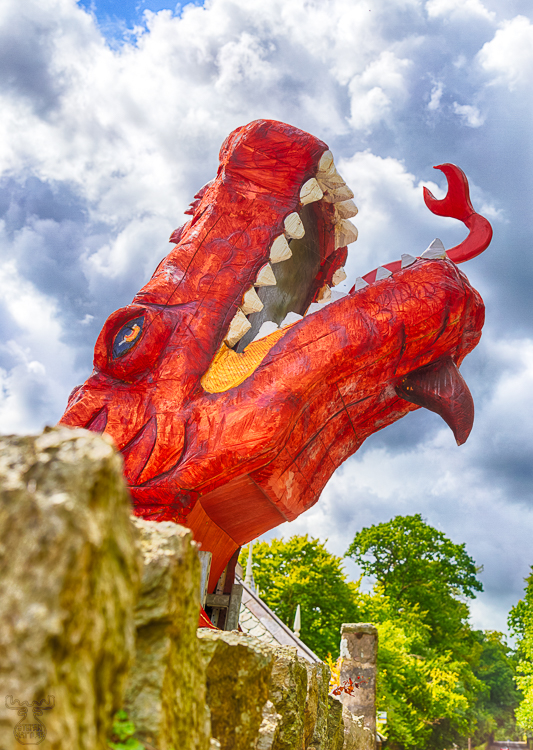 8548 - The Welsh Smoking Dragon - -