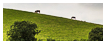  8610 - Inclined cow plane - - 
