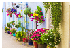  8633 - Tenby Flowers - - 