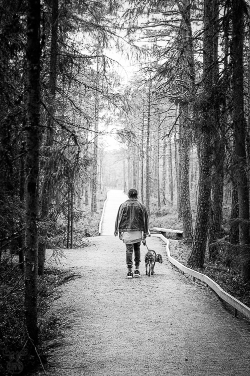 9284 - A Tired Dog Walk - -