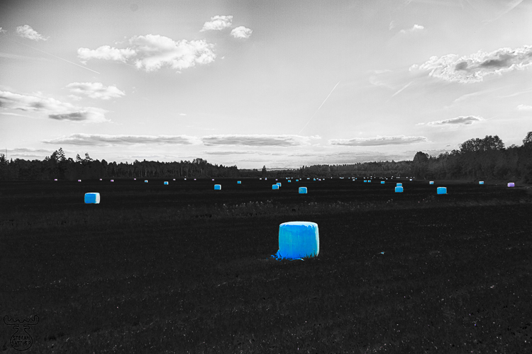 9307 - Blue Hay Bales - -