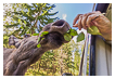  9367 - Window Feeding - - 