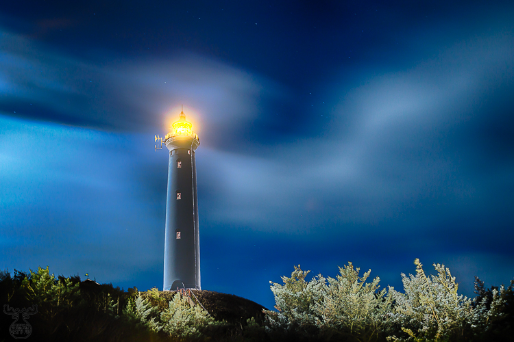9420 - The Light Star - -