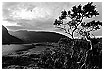  942 - Lake View - - 