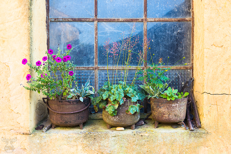 9585 - Recycled Flowerpots - -