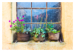  9585 - Recycled Flowerpots - - 