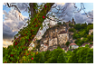  9733 - Rocamadour tree glance - - 