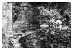  9839 - Vigilant view - - 