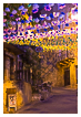  9853 - Felibrajada alley - - 
