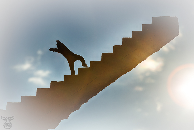 9908 - The way up ends in nowhere - -