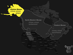 Alaskan Range