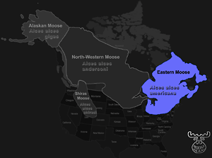 Eastern Range
