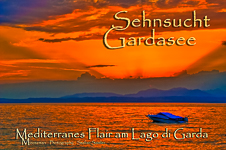 Sehnsucht Provence