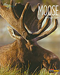 Moose